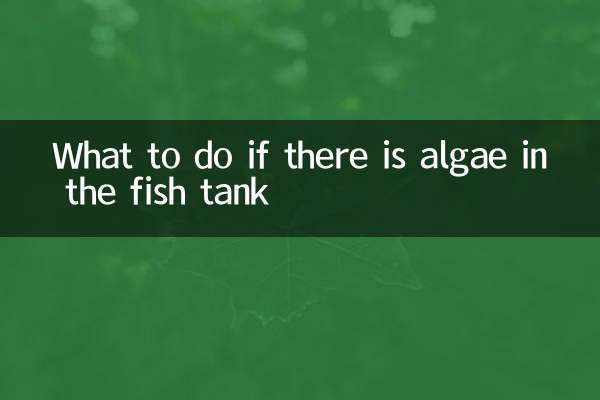 Cosa fare se ci sono alghe nell'acquario