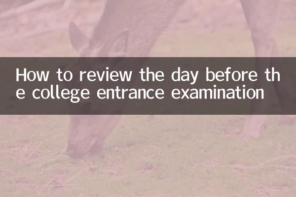 대학 입시 전날 복습 방법