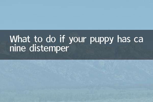 What to do if your puppy has canine distemper