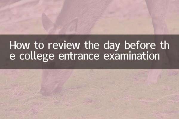 대학 입시 전날 복습 방법