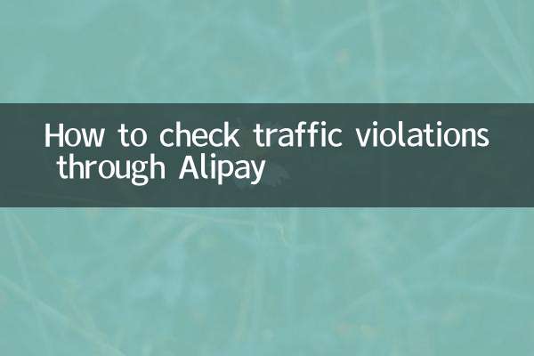 ایلیپے کے ذریعے ٹریفک کی خلاف ورزیوں کی جانچ کیسے کریں