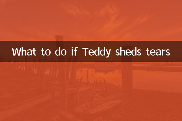 泰迪淌眼泪怎么办