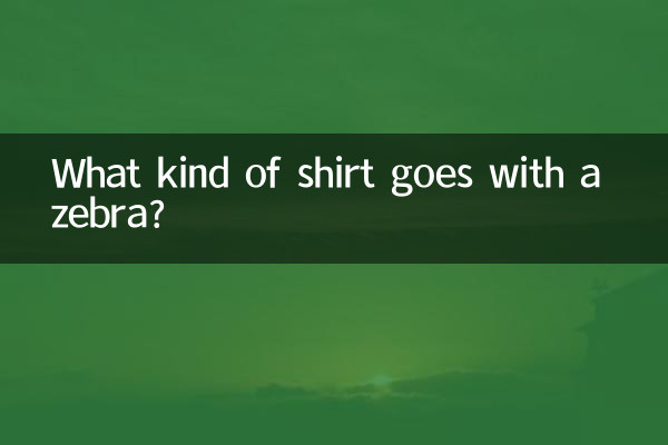 ما هو نوع القميص الذي يتناسب مع الحمار الوحشي؟