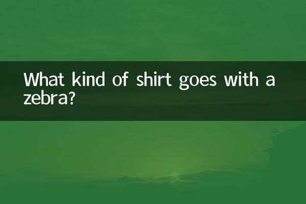 ما هو نوع القميص الذي يتناسب مع الحمار الوحشي؟