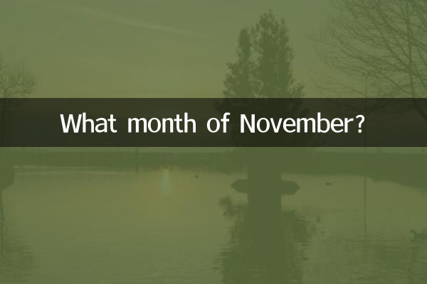 What month of November?