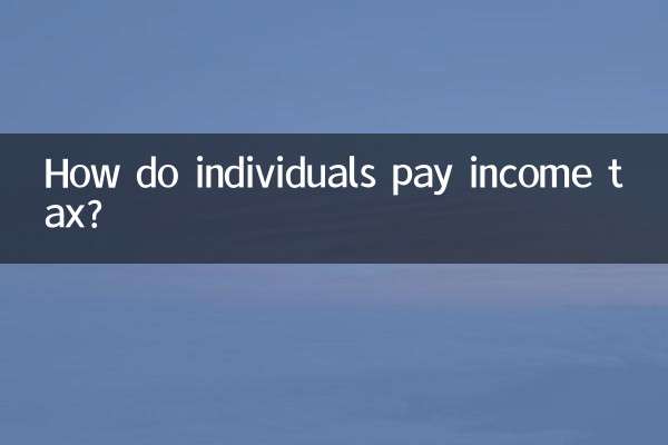 Come pagano le imposte sul reddito gli individui?