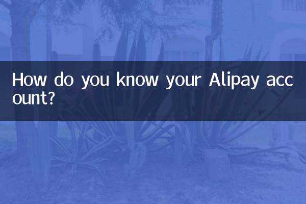 Como você conhece sua conta Alipay?