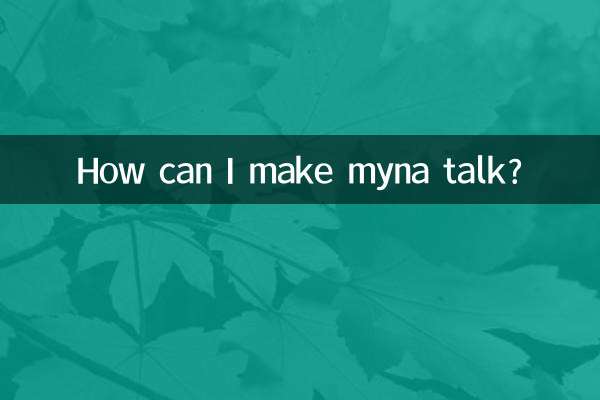 Como posso fazer myna falar?