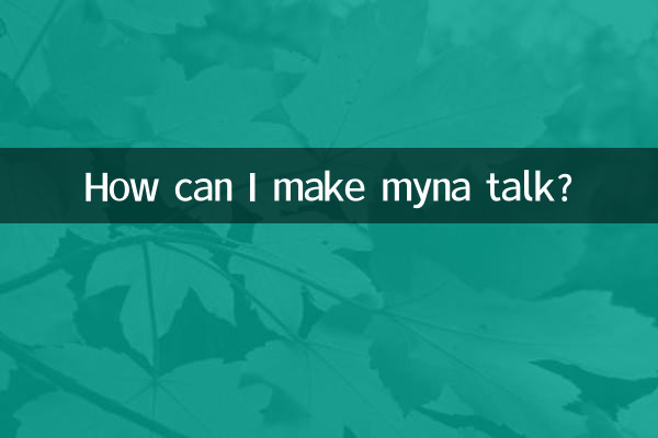 Como posso fazer myna falar?