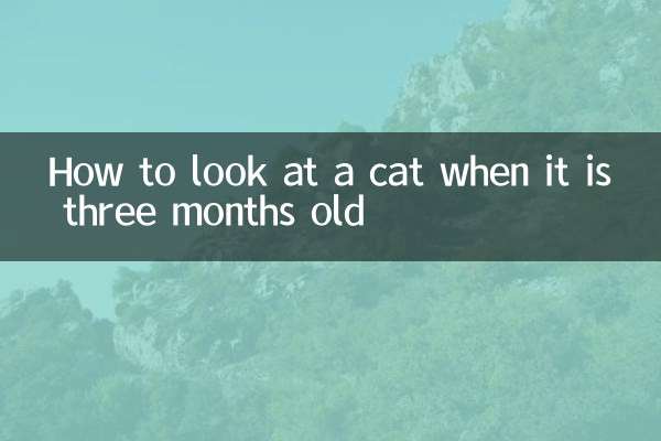 তিন মাস বয়সে একটি বিড়ালকে কীভাবে দেখতে হয়