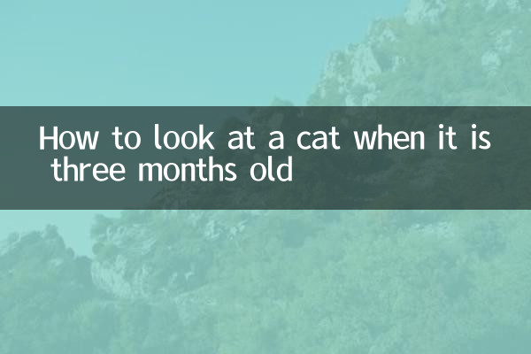 তিন মাস বয়সে একটি বিড়ালকে কীভাবে দেখতে হয়