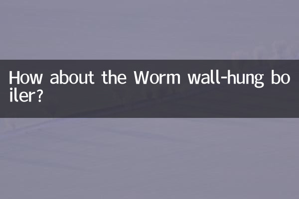 ماذا عن الغلاية المعلقة على الحائط الدودية؟