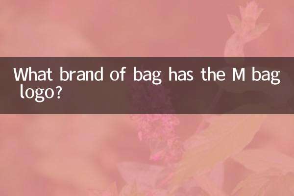ایم بیگ کا لوگو کس برانڈ کے بیگ میں ہے؟