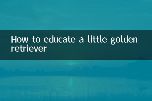 Cómo educar a un pequeño golden retriever