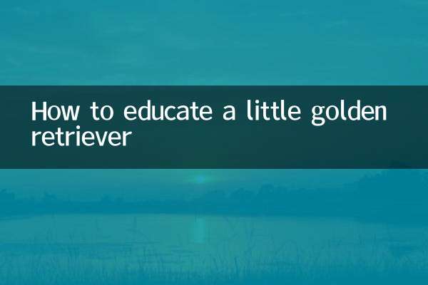 Cómo educar a un pequeño golden retriever