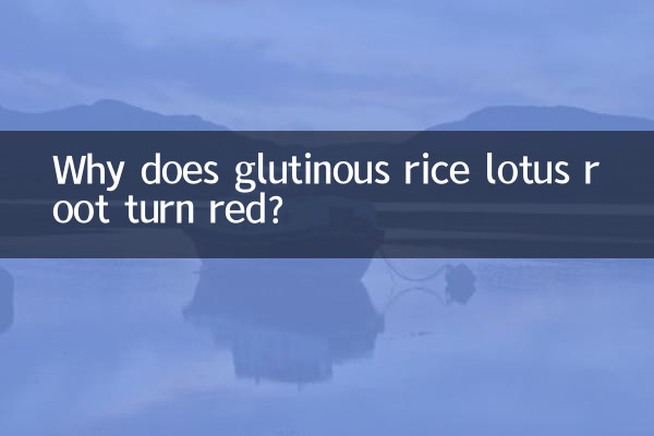 Por que a raiz de lótus do arroz glutinoso fica vermelha?