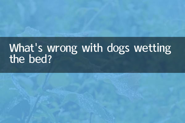 چه اشکالی دارد که سگ ها رختخواب را خیس کنند؟