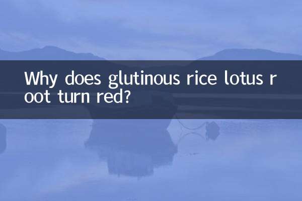 Por que a raiz de lótus do arroz glutinoso fica vermelha?