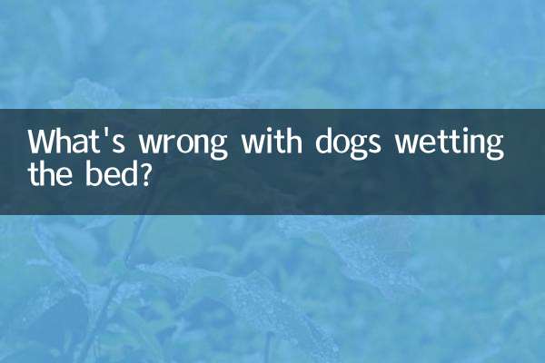 چه اشکالی دارد که سگ ها رختخواب را خیس کنند؟