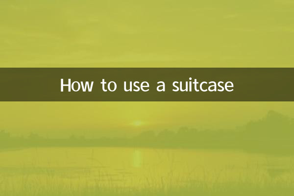 Как пользоваться чемоданом