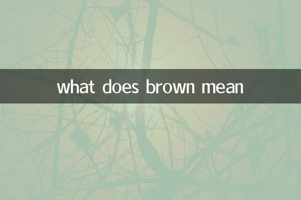 brown是什麼意思