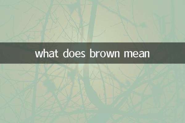 brown是什麼意思
