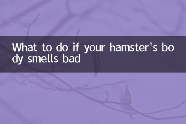倉鼠身體臭怎麼辦