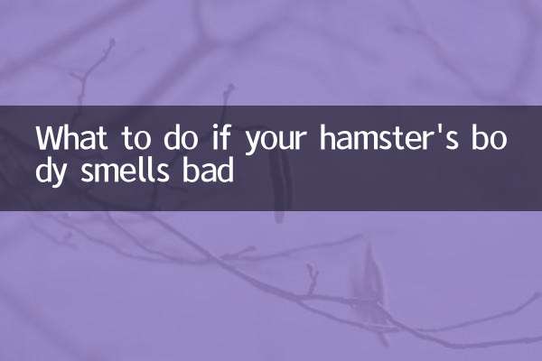 আপনার হ্যামস্টারের শরীর খারাপ গন্ধ হলে কি করবেন