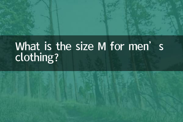 سایز M برای لباس مردانه چیست؟