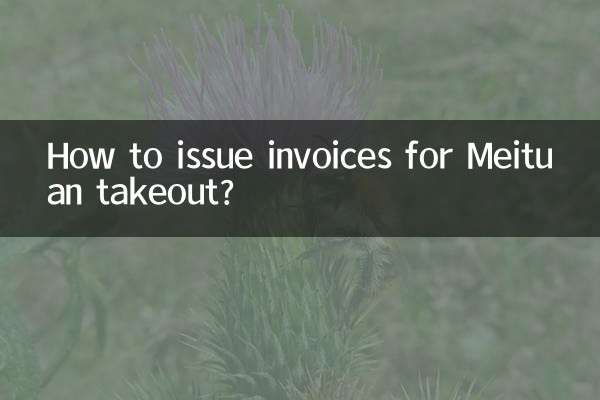 Wie stelle ich Rechnungen für Meituan zum Mitnehmen aus?