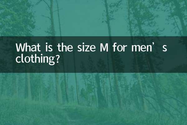 سایز M برای لباس مردانه چیست؟