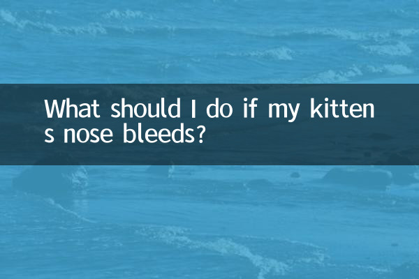 ¿Qué debo hacer si a mi gatito le sangra la nariz?