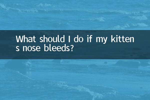 আমার বিড়ালছানার নাক দিয়ে রক্তপাত হলে আমার কী করা উচিত?