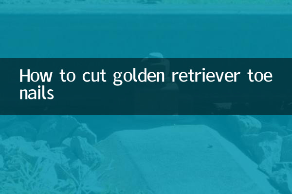 ゴールデンレトリバーの足の爪の切り方