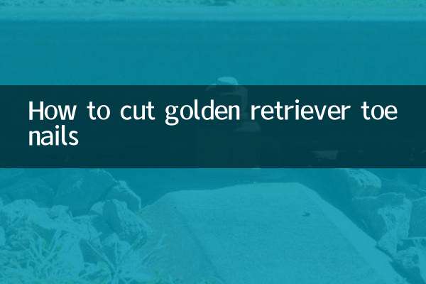 ゴールデンレトリバーの足の爪の切り方