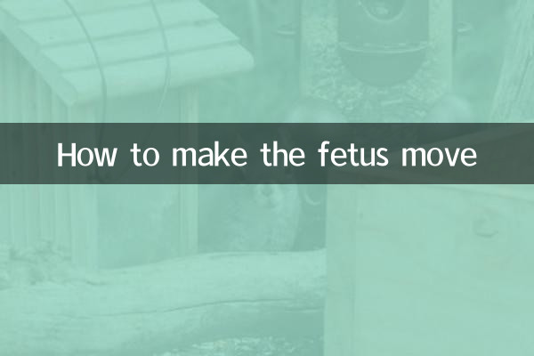 Come far muovere il feto