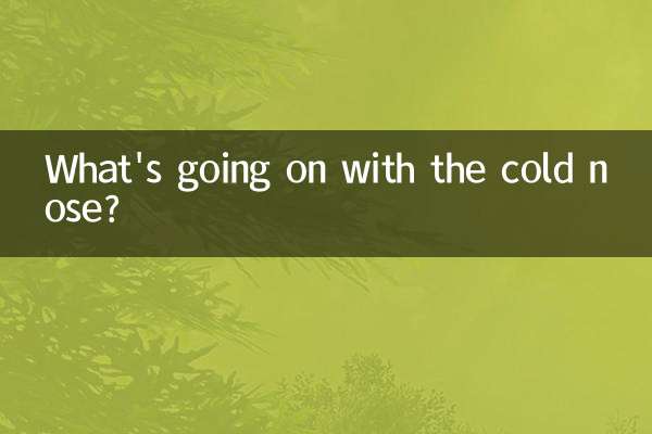 ठंडी नाक से क्या हो रहा है?