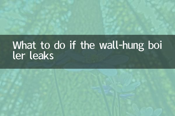 अगर दीवार पर लटका बॉयलर लीक हो जाए तो क्या करें