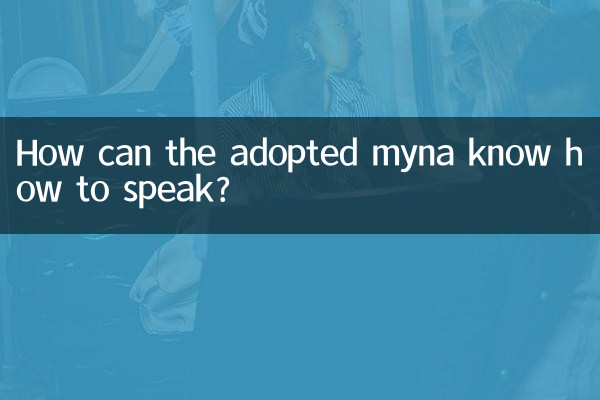 養八哥怎麼才會說話