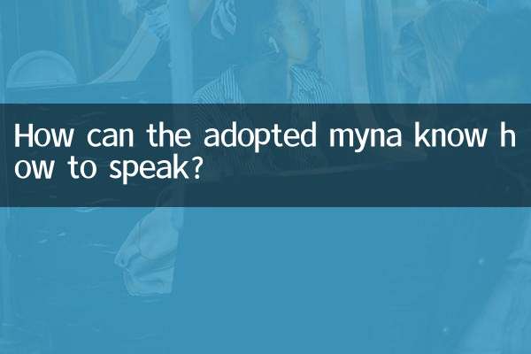 Wie kann die adoptierte Myna sprechen können?