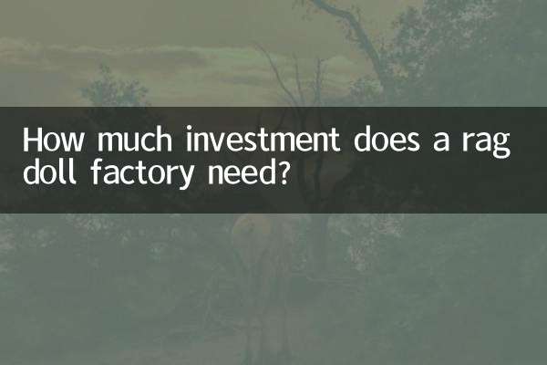 봉제 인형 공장에는 얼마나 많은 투자가 필요합니까?