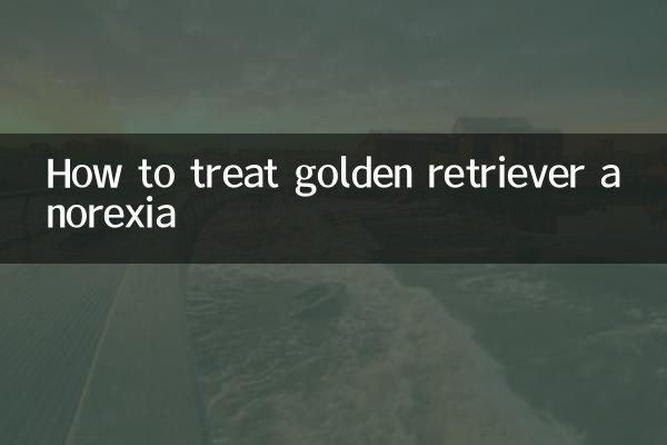 Comment traiter l'anorexie du golden retriever