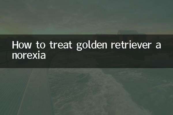 Come trattare l'anoressia del Golden Retriever