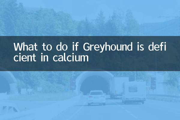 Что делать, если грейхаунду не хватает кальция