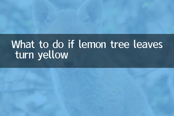 Qué hacer si las hojas del limonero se ponen amarillas