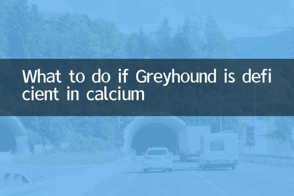 What to do if Greyhound is deficient in calcium