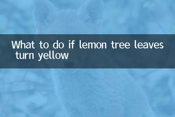 Qué hacer si las hojas del limonero se ponen amarillas