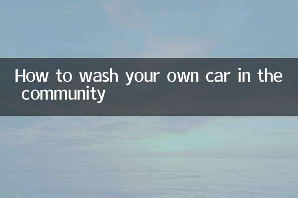 コミュニティで自分の車を洗う方法