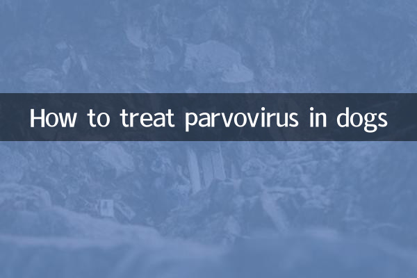 狗狗细小怎么治