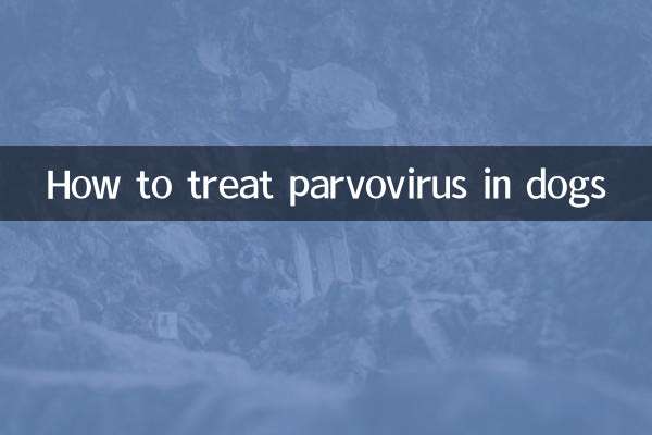 Comment traiter le parvovirus chez le chien